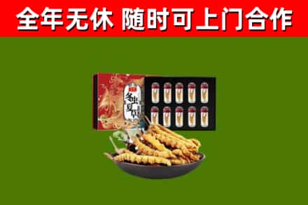 巢湖烟酒回收冬虫夏草礼盒.jpg