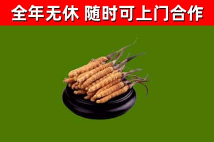 巢湖烟酒回收冬虫夏草.jpg